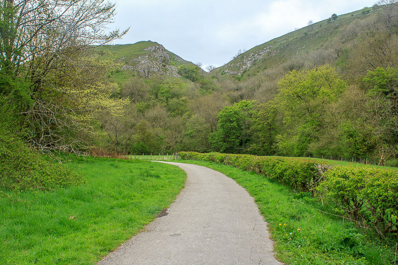 Manifold Way